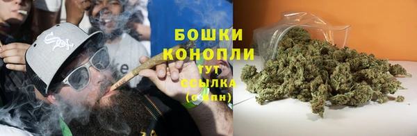 ГАЛЛЮЦИНОГЕННЫЕ ГРИБЫ Абдулино