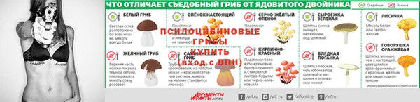 стаф Абаза