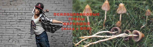 амф Абинск