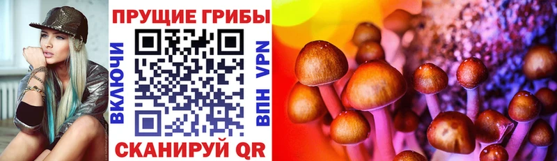 МЕГА рабочий сайт  Тольятти  Галлюциногенные грибы прущие грибы 