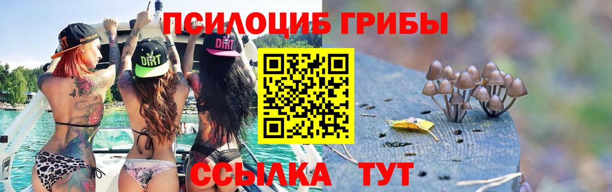 Тольятти  Галлюциногенные грибы Psilocybe  Вход с VPN 